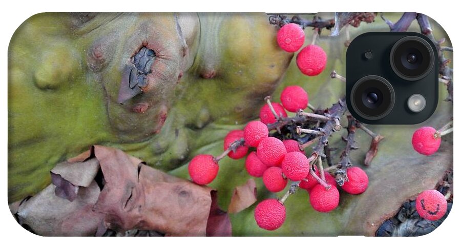  iPhone Case featuring the photograph Arbutus Berries by Sharron Cuthbertson