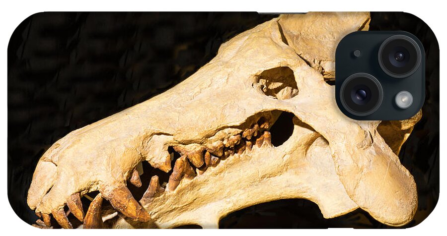 Nature iPhone Case featuring the photograph Archaeotherium Skull Fossil by Millard H. Sharp