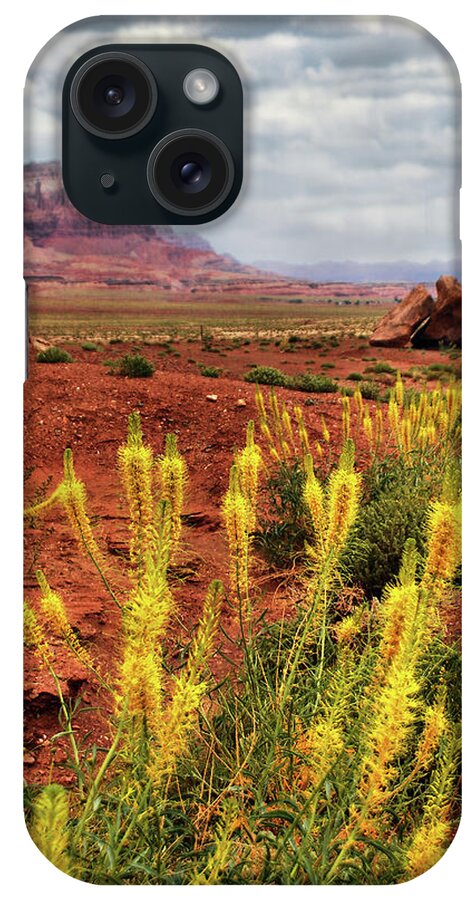 Arizona iPhone Case featuring the photograph Arizona Landscape by Barbara Manis