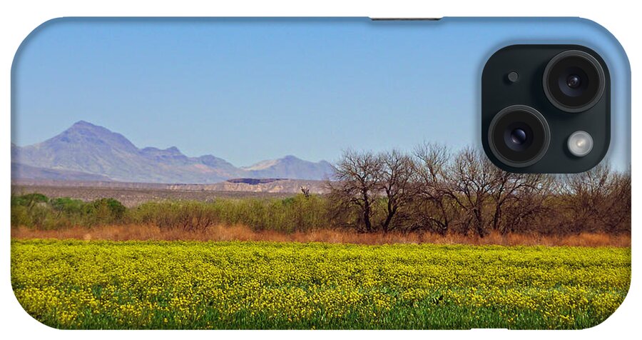Arizona Spring iPhone Case featuring the photograph Arizona Spring by Two Hivelys
