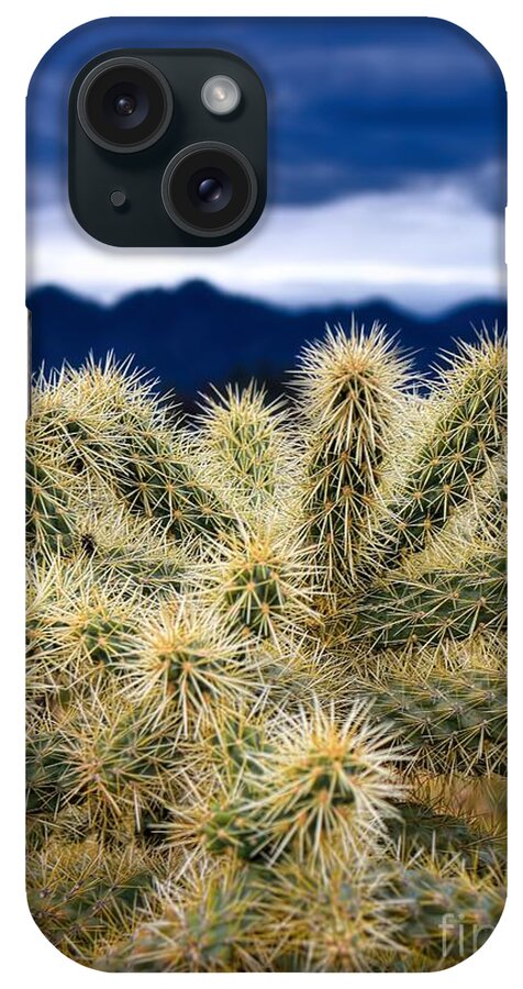 Arizona iPhone Case featuring the photograph Arizona Teddy Bear Cactus by Henry Kowalski