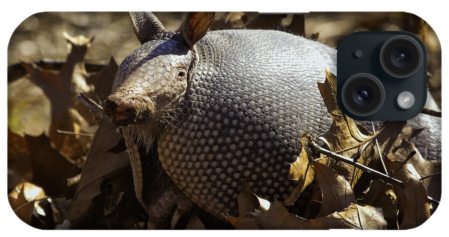 Armadillo iPhone Case featuring the photograph Armondo by Michael Dougherty