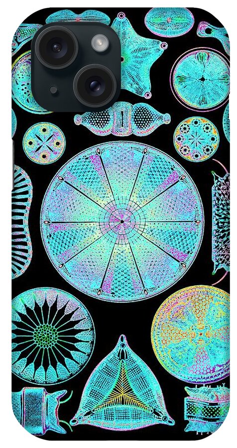 Centric Diatom iPhone Case featuring the photograph Art Of Diatom Algae (from Ernst Haeckel) by Mehau Kulyk/science Photo Library