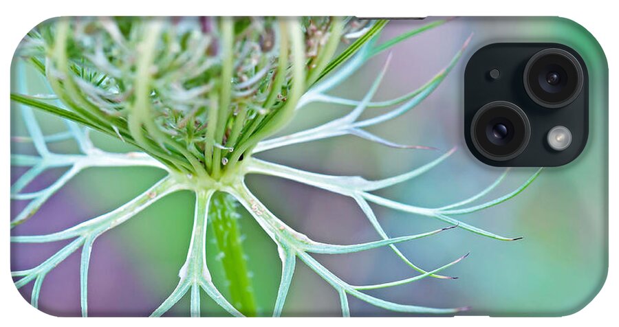 Wildflower Photography iPhone Case featuring the photograph Artsy Pastal Wildflower by Gwen Gibson