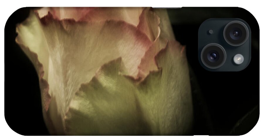 Rose iPhone Case featuring the photograph As the Year ends by Richard Cummings