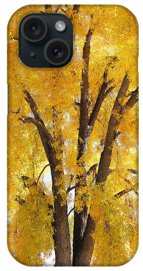Ash's Fall Leaves Are Falling iPhone Case featuring the photograph Ash's Fall Leaves Are Falling by Tom Janca