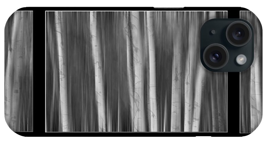 Aspen iPhone Case featuring the photograph Aspen Splendor Dreaming Triptych in Black and White by James BO Insogna