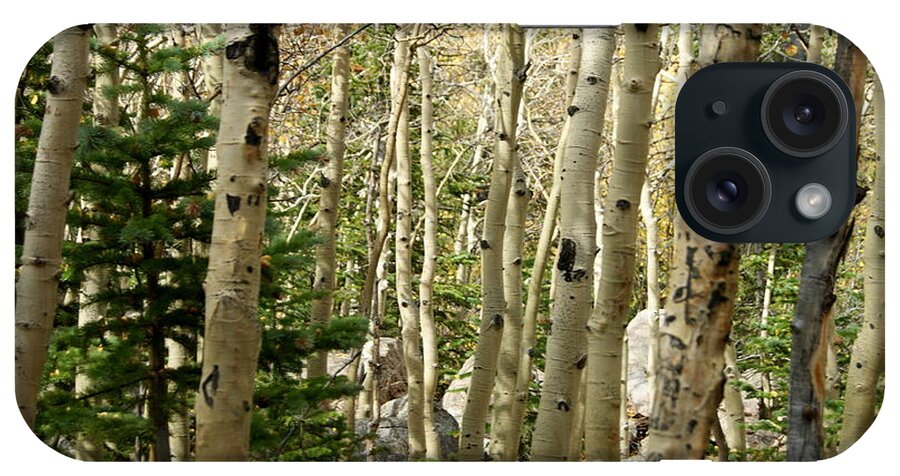 Aspen iPhone Case featuring the photograph Aspiring Aspens by Beth Collins