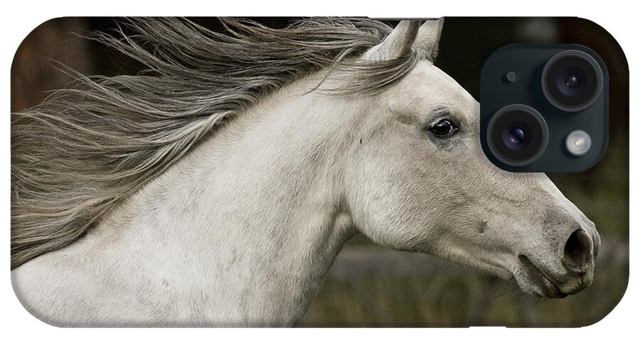 At A Full Gallop iPhone Case featuring the photograph At A Full Gallop by Wes and Dotty Weber