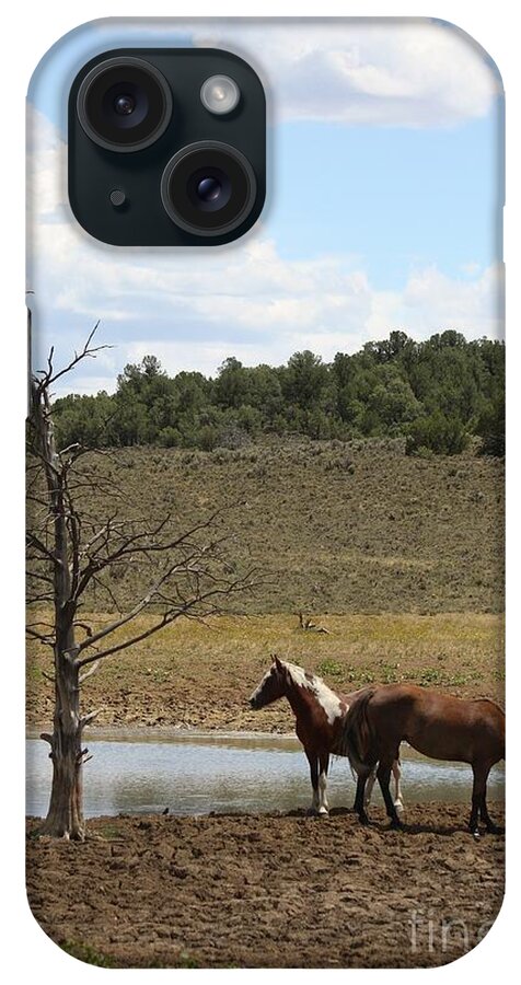Horse iPhone Case featuring the photograph At the Watering Hole by Veronica Batterson