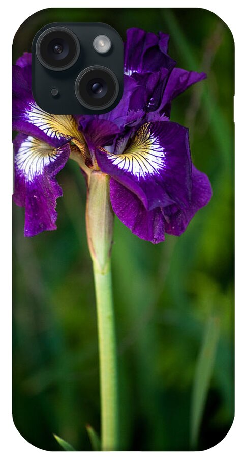 Iris iPhone Case featuring the photograph Attention by Penny Lisowski