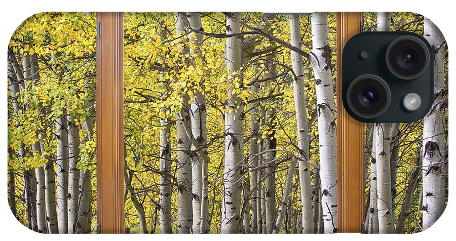 Windows iPhone Case featuring the photograph Autumn Aspen Forest Classic Wood Window View by James BO Insogna