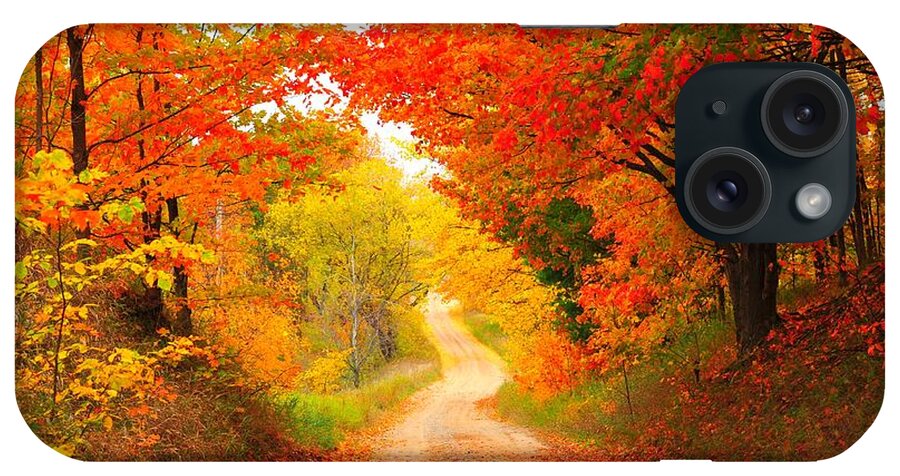 Autumn iPhone Case featuring the photograph Autumn Cameo 2 by Terri Gostola