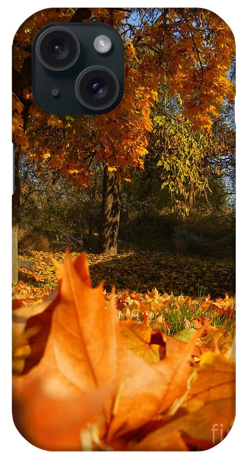  iPhone Case featuring the photograph Autumn Carpet by KD Johnson