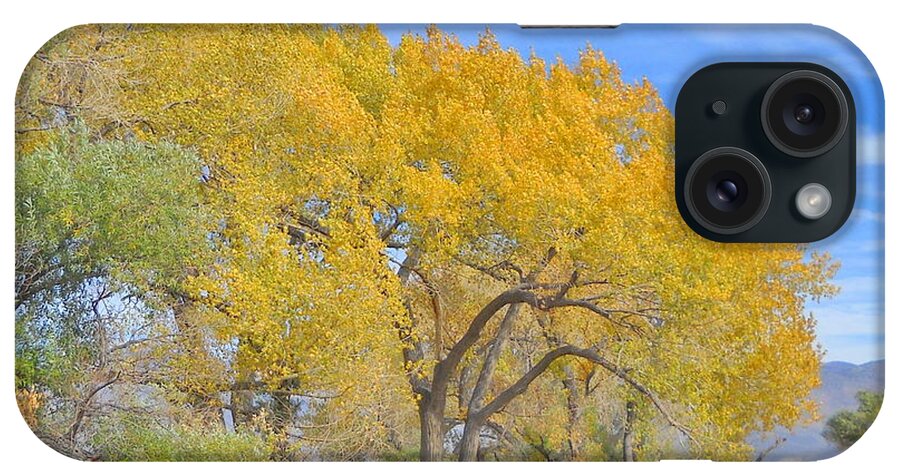 Sky iPhone Case featuring the photograph Autumn Colors by Marilyn Diaz