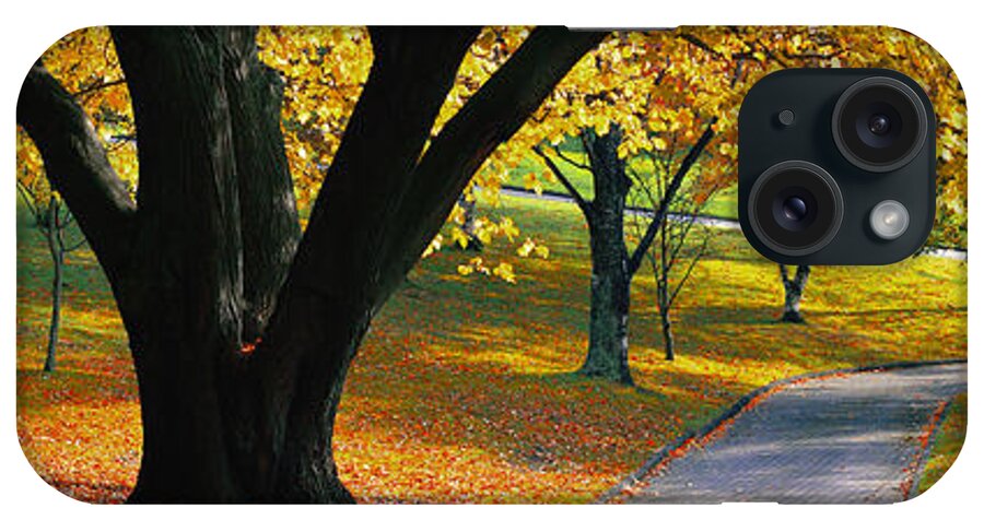 Autumn iPhone Case featuring the photograph Autumn Colours by Anthony Davey