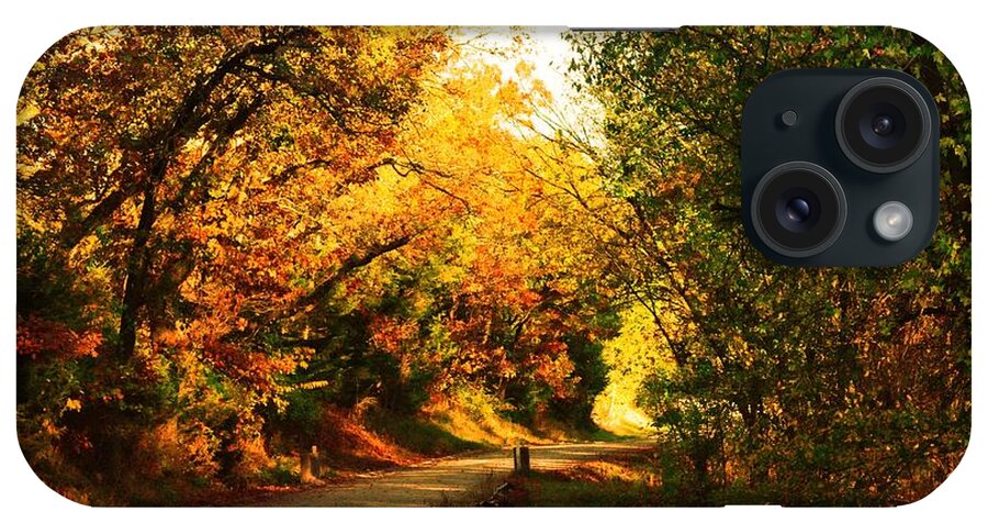 Fall Leaves iPhone Case featuring the photograph Autumn Country Road by Karen McKenzie McAdoo