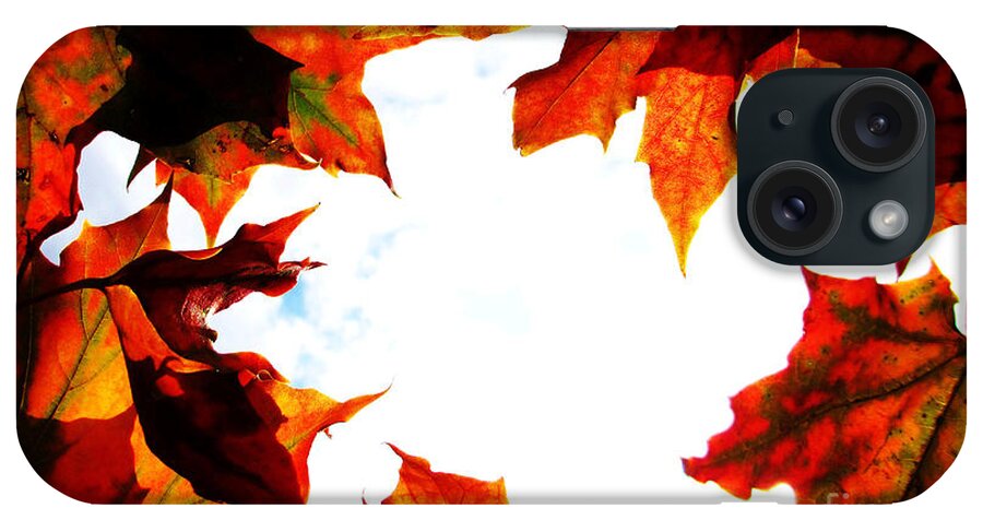 Autumn Fire iPhone Case featuring the photograph Autumn Fire by Martin Howard