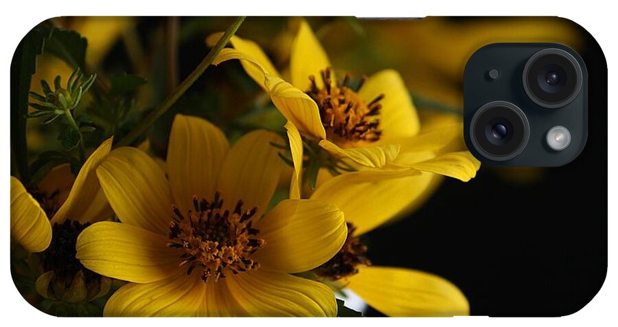 Daisy iPhone Case featuring the photograph Autumn Flowers 1 by Ester McGuire