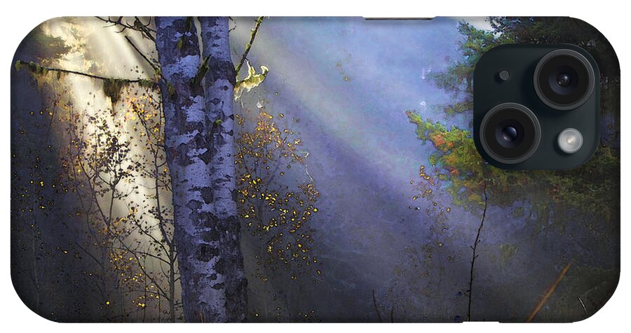 Fantasy Forest iPhone Case featuring the photograph Autumn Fog With Sun Rays by Theresa Tahara