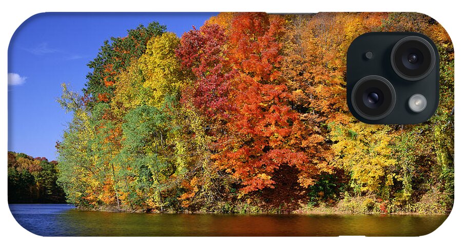 Fall iPhone Case featuring the photograph Autumn Foliage by Rafael Macia