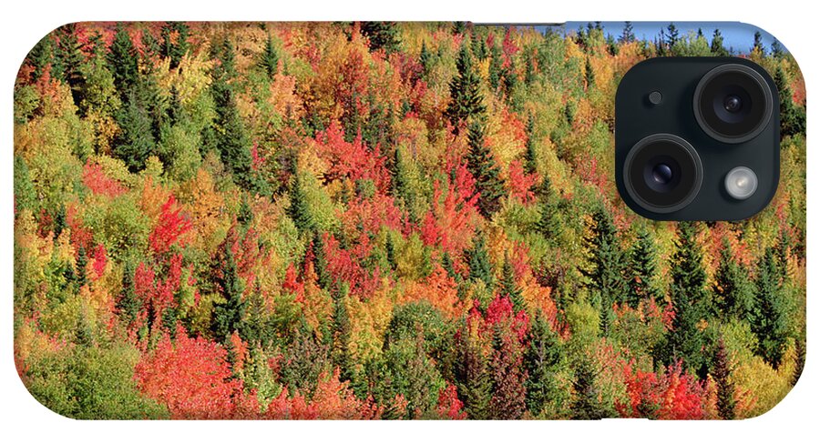 00341776 iPhone Case featuring the photograph Autumn in Gaspesie Natl Park Quebec by Yva Momatiuk John Eastcott