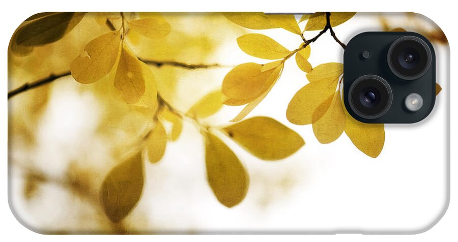 Leaf iPhone Case featuring the photograph Autumn Gold by Priska Wettstein