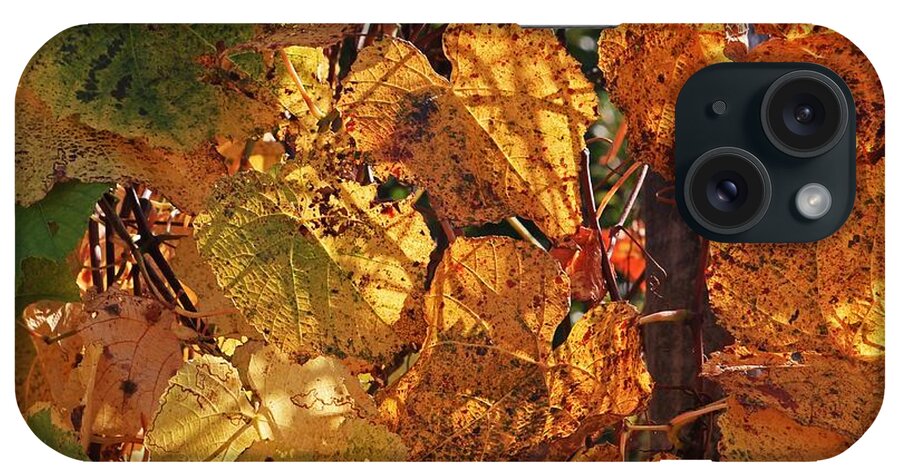 Local iPhone Case featuring the photograph Autumn Grape Leaves by Michael Saunders