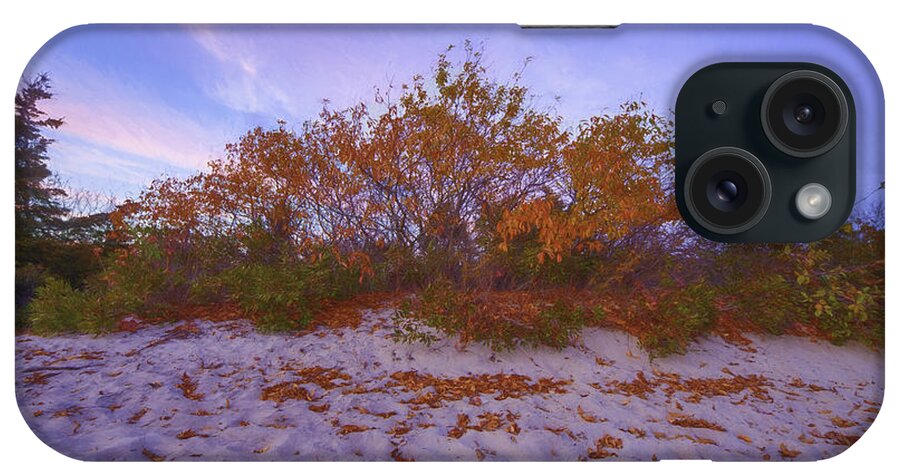 Usa iPhone Case featuring the photograph Autumn in the Dunes by Kate Hannon