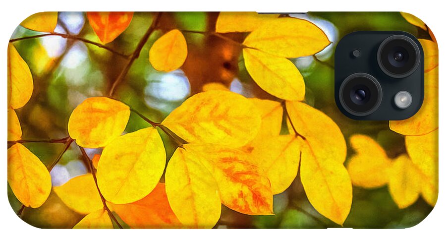 Autumn iPhone Case featuring the photograph Autumn Leaves by CarolLMiller Photography