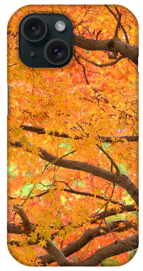 Autumn iPhone Case featuring the photograph Autumn Leaves by Yuka Kato