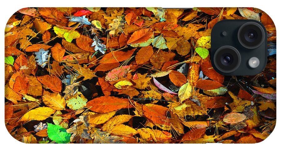 Leaves iPhone Case featuring the photograph Autumn Leaves by Randy Rogers