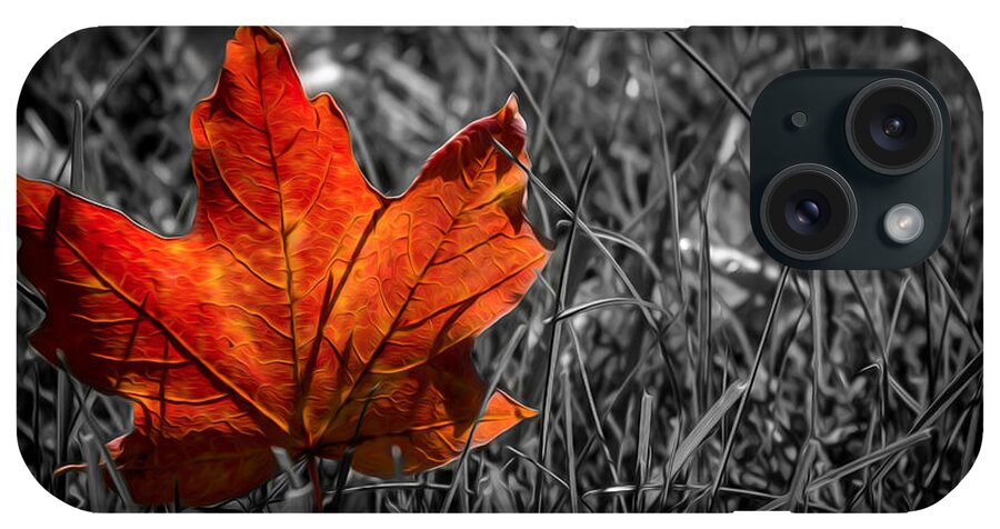 Leaves iPhone Case featuring the photograph Autumn Maple Leaf by Dawn M Smith