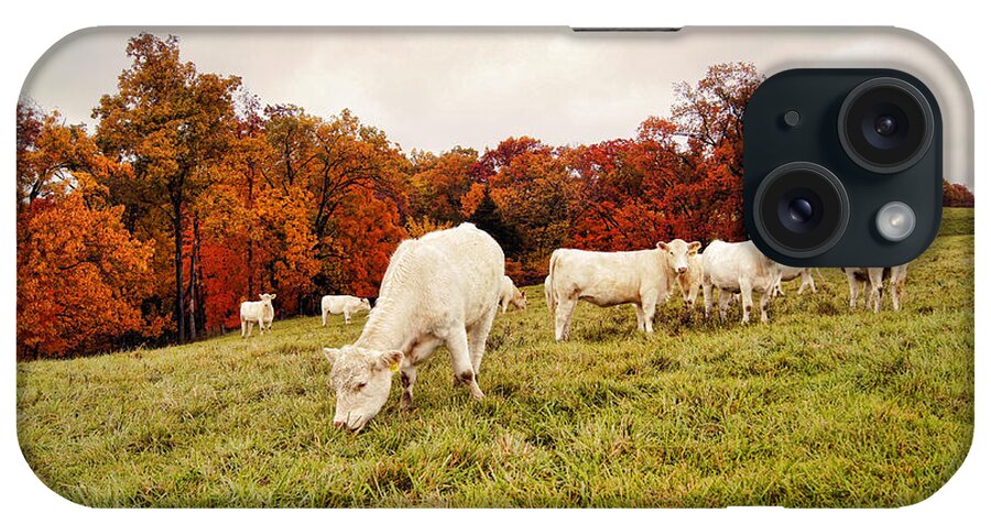 Fall Foliage iPhone Case featuring the photograph Autumn Pastures by Cricket Hackmann