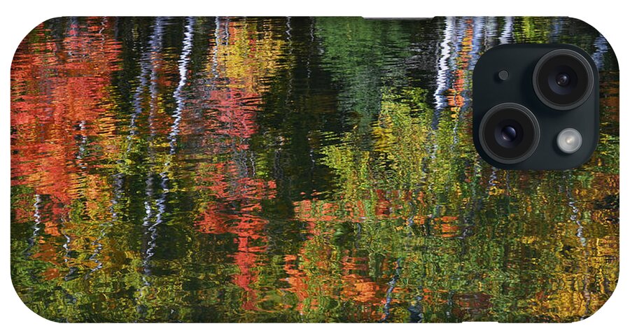Reflections iPhone Case featuring the photograph Autumn Reflections by Dan Hefle