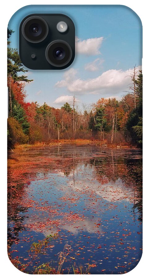 Autumn iPhone Case featuring the photograph Autumn Reflections by Joann Vitali