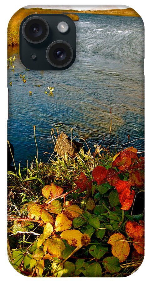 Autumn River iPhone Case featuring the photograph Autumn River by HweeYen Ong