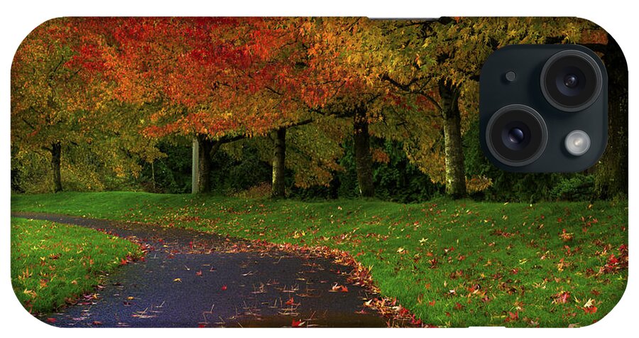Autumn Shades Of Color - Paul Harrett iPhone Case featuring the photograph Autumn Shades of Color by Paul Harrett