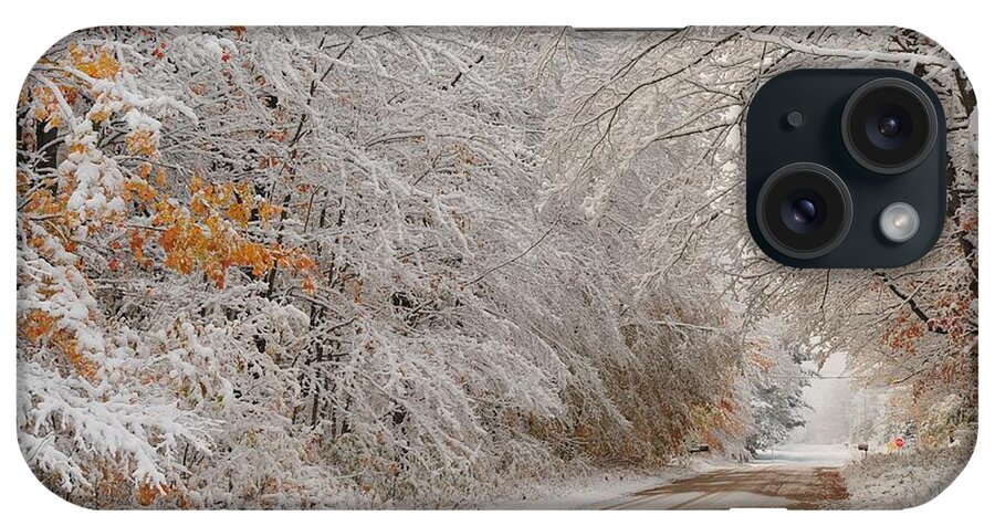 Snow iPhone Case featuring the photograph Autumn Snowfall by Terri Gostola