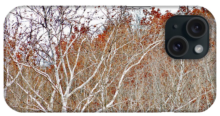 Cuyahoga Valley National Park iPhone Case featuring the photograph Autumn Sycamores by Bruce Patrick Smith