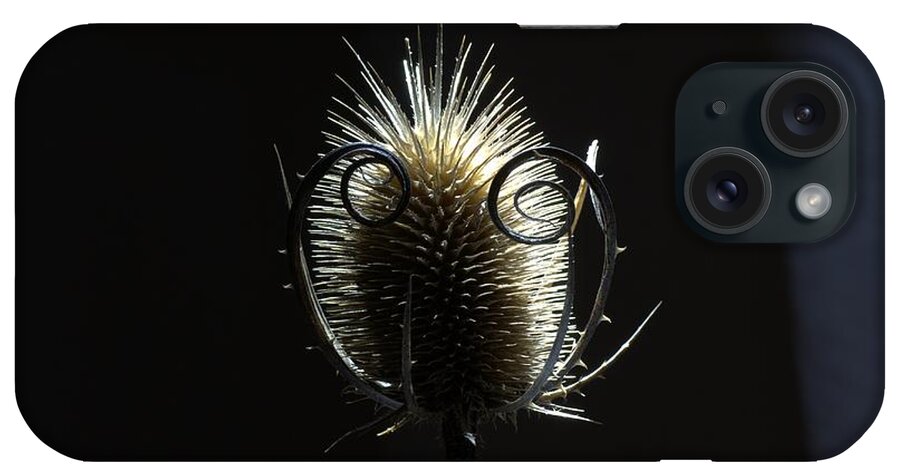 Thistle iPhone Case featuring the photograph Autumn thistle by Amalia Suruceanu