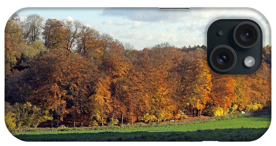 Autumn Tree Line iPhone Case featuring the photograph Autumn Tree Line by Tony Murtagh