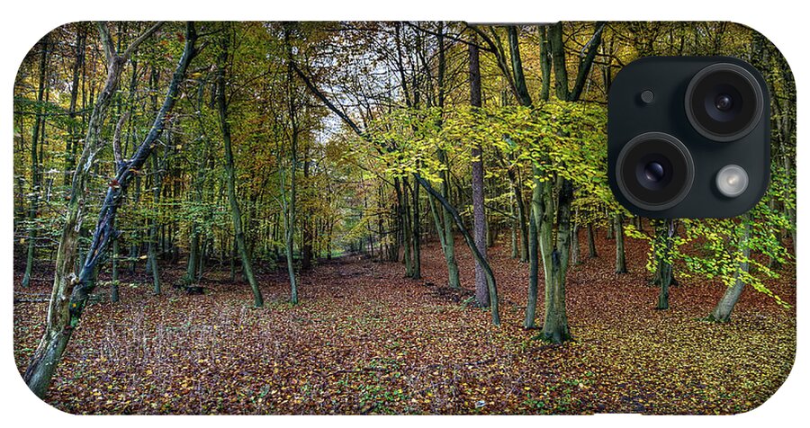 Autumn iPhone Case featuring the photograph Autumn woodland by Gary Eason