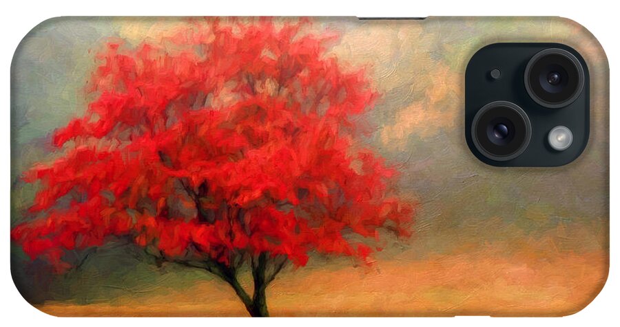 Dogwood iPhone Case featuring the photograph Autumns Colors by Darren Fisher