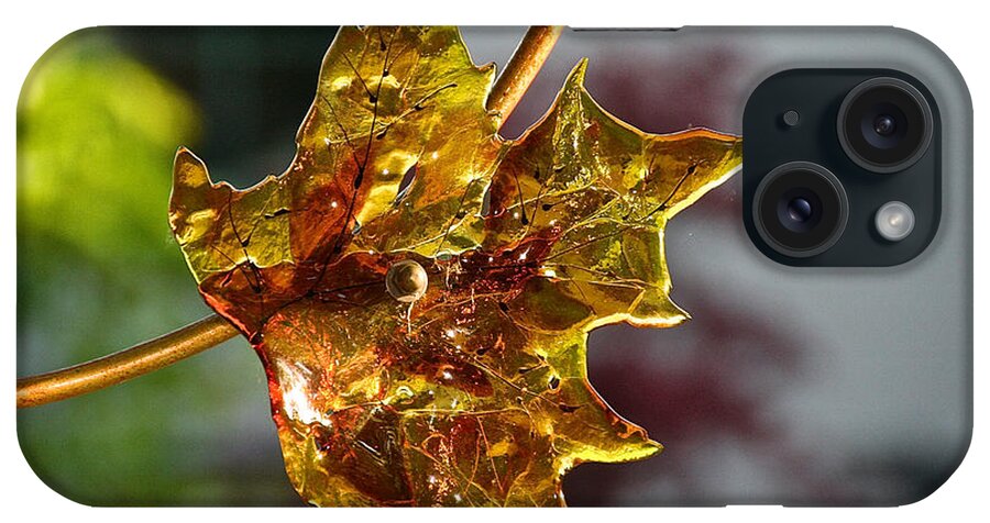 Flower iPhone Case featuring the photograph Autumn's Glass by Susan Herber
