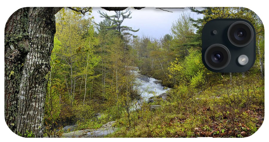Spring iPhone Case featuring the photograph Acadia Spring by Stephen Vecchiotti