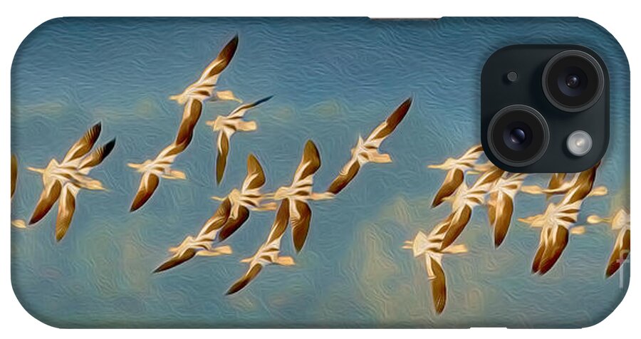 American Avocet iPhone Case featuring the photograph Avocet Art by Alice Cahill
