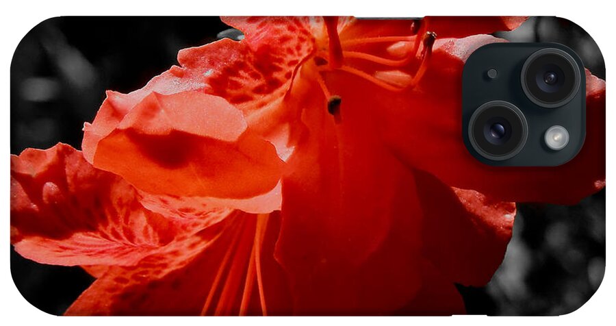 Macro iPhone Case featuring the photograph Azalea in Shadows sc by Pete Trenholm