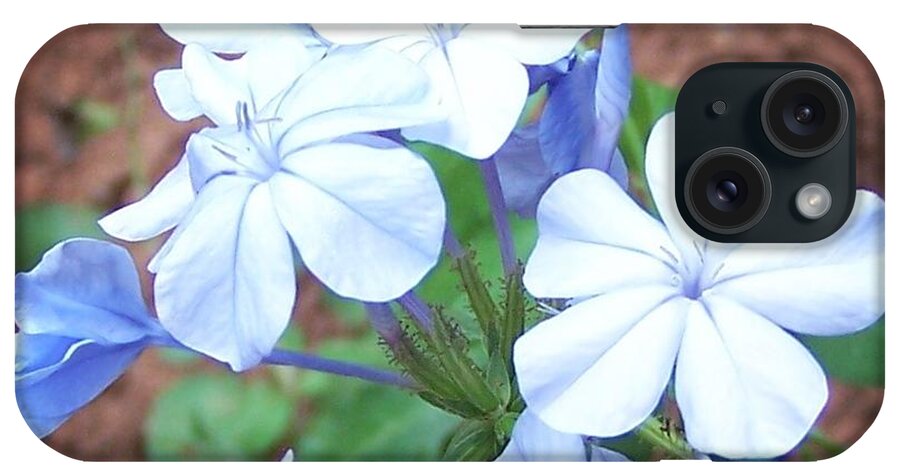 Flower iPhone Case featuring the photograph Azure Aura by Jamie Johnson