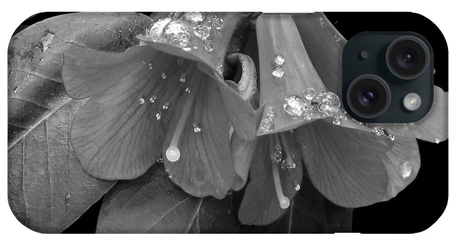 Rhododendron iPhone Case featuring the photograph B W Water Beads by Chris Anderson